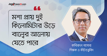 বাউনিয়ার ডোবার মশা শাহজালাল বিমানবন্দরকে ধ্বংস করছে