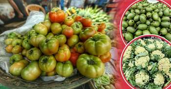 শীতের আগেই রাজধানীর বাজারে নেমেছে শীতের রঙ