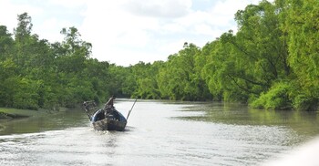 দারভাঙ্গা খাল: জোয়ার-ভাটার নীরব স্বর্গ