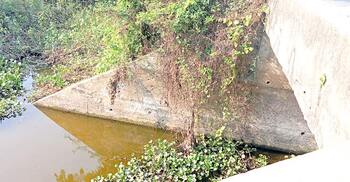 খাল-স্লুইস গেটের বেহাল দশায় হুমকির মুখে চাষাবাদ