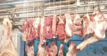 খুলনায় গরুর মাংসের দাম বেড়েছে কেজিতে ৫০ টাকা