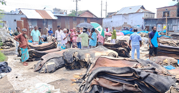 ‘সিন্ডিকেটে’ জিম্মি, পানির দরে চামড়া ছাড়ছেন মৌসুমি ব্যবসায়ীরা