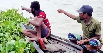 হাওরে ধান কাটতে গিয়ে নৌকা ডুবি, শ্রমিক নিখোঁজ