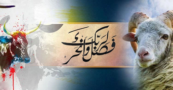 কোরবানির পশু নির্বাচন করবেন কীভাবে?