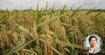 কোথায় হারিয়ে যাচ্ছে কৃষকের ন্যায্য দাম?