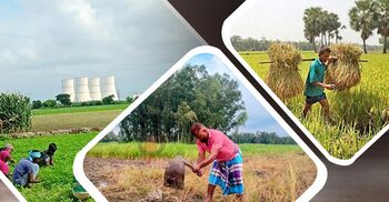 আমাদের কৃষিজমি আমরাই ধ্বংস করছি