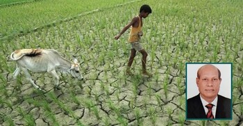 জলবায়ু পরিবর্তন এবং কৃষির চ্যালেঞ্জ