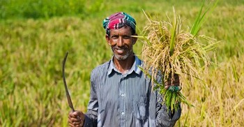 নগদ সহায়তা ও সার-বীজ পেতে চালু হচ্ছে কৃষক কার্ড