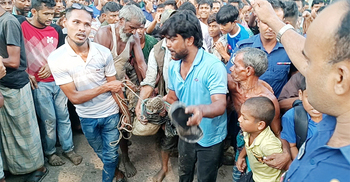 ৮ দিন পর ভুবনেশ্বর নদ থেকে সেই কুমির উদ্ধার