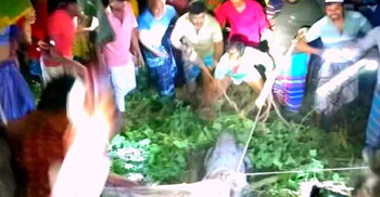 লোকালয়ে ধরা পড়েছে গড়াই নদীর কুমির