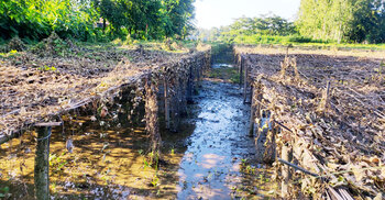 ঢলের পানিতে কুড়িগ্রামে দুইশ হেক্টর জমির সবজিক্ষেত নষ্ট
