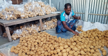 মোয়ায় স্বাবলম্বী সাইফুল, দিয়েছেন কারখানা