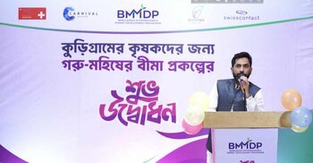 দুর্ঘটনায় গরু-মহিষ মারা গেলে কৃষক পাবেন ক্ষতিপূরণ