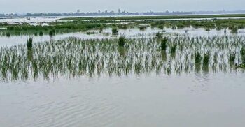 বিপৎসীমা ছুঁই ছুঁই দুধকুমা‌র, নিম্নাঞ্চল প্লা‌বিত
