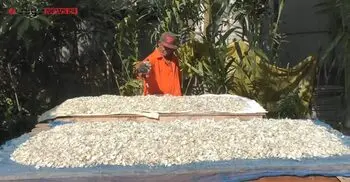 মাছের আঁশ রপ্তানি করে আসছে লাখ টাকা