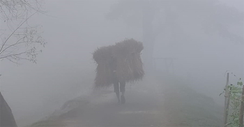 কু‌ড়িগ্রামে হিমেল হাওয়া ও কনকনে ঠান্ডা, দেখা নেই সূর্যের