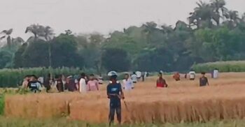 কুষ্টিয়ায় তুচ্ছ ঘটনায় হামলা, গুলিবিদ্ধসহ আহত ৭