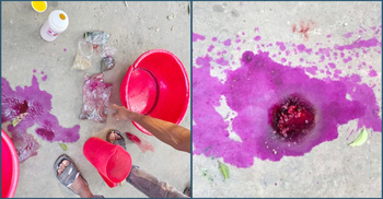 আইসক্রিমে ক্ষতিকর রং-কেমিক্যাল, ৪০ হাজার টাকা জরিমানা