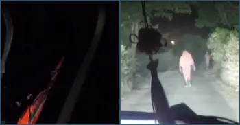 কুষ্টিয়ায় প্রাইভেটকার থামিয়ে ডাকাতি, ভিডিও ভাইরাল