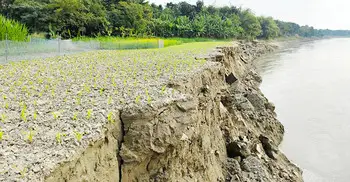 গড়াই নদীতে আকস্মিক ভাঙন, আতঙ্কিত বাসিন্দারা
