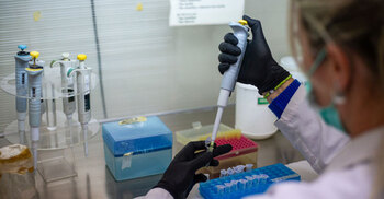 WHO maintains assessment of hantavirus outbreak as 'low risk'