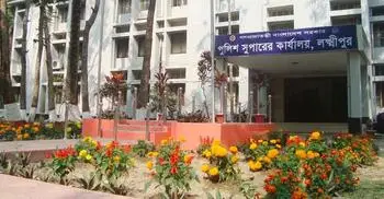 ‘রাজা’ মনোভাবে সন্ত্রাসীরা, নির্বাচনে শঙ্কা অবৈধ অস্ত্র