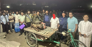 অবৈধভাবে বালু উত্তোলনের দায়ে বৃদ্ধের কারাদণ্ড