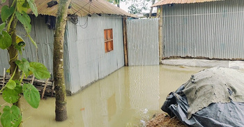 বিপৎসীমার ওপরে তিস্তা, লালমনিরহাটে ৫ হাজার পরিবার পানিবন্দি