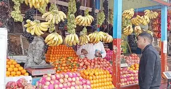 রমজানে ফলের বাজারে শুল্ক-সিন্ডিকেটের থাবা