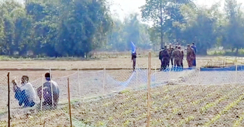 বাংলাদেশ সীমান্তে ঢুকে নারীকে মারধরের অভিযোগ বিএসএফের বিরুদ্ধে