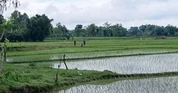 পাটগ্রাম সীমান্তে বিএসএফের খুঁটি স্থাপনের চেষ্টা, বিজিবির বাধায় পণ্ড