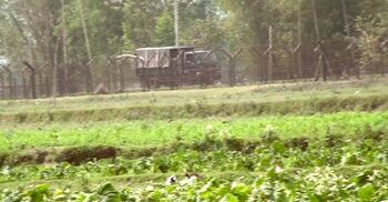 পাটগ্রাম সীমান্তে বিএসএফের ছররা গুলি