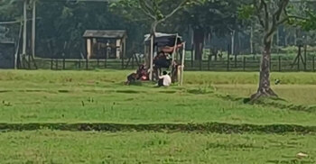 BGB foils push-in of 33 through Lalmonirhat border