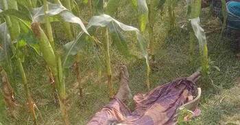 তারাবিহ নামাজের পর থেকে নিখোঁজ, সকালে মিললো মরদেহ