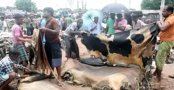 কোরবানির চামড়ার দাম বাড়ালো সরকার, ঢাকায় বর্গফুটে ২ টাকা বৃদ্ধি