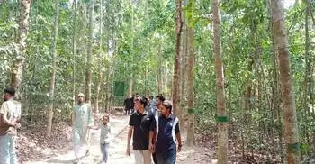 Forest under strain: Tourist surge outnumbers wildlife in Lawachara