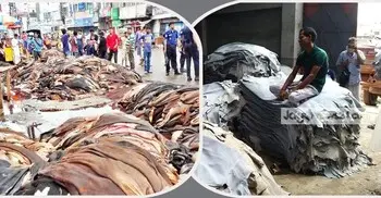 চামড়া খাতে ঋণে বড় ছাড়, ‘কম্প্রোমাইজ’ পরিশোধ ছাড়াই মিলবে নতুন অর্থায়ন