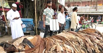 ঢাকায় কোরবানির গরুর চামড়া সর্বনিম্ন ১২০০ টাকা