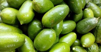 ‘লেবুর দেশ’ শ্রীমঙ্গলেও লেবুর দাম চড়া