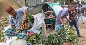 শেরপুরের বাজারে অপরিপক্ব লিচুর ছড়াছড়ি