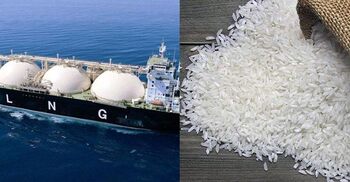 Govt to procure 1 cargo LNG, 50,000 tonnes parboiled rice
