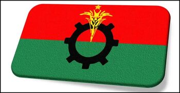 স্বতন্ত্র প্রার্থীর পক্ষে প্রচারণা, বিএনপির ১৮ নেতা বহিষ্কার