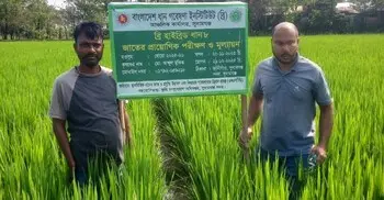 চ্যালেঞ্জ মোকাবিলায় ধানের জাত ও প্রযুক্তি উদ্ভাবন কেন জরুরি