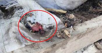 মাদারীপুরে ইউপি সদস্যের বাড়িতে বোমা বিস্ফোরণ