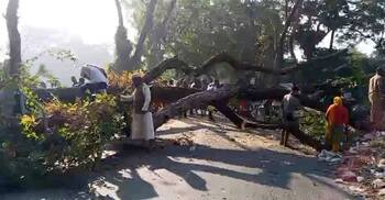 সাড়ে ৩ ঘণ্টা পর ঢাকা-বরিশাল মহাসড়কে যান চলাচল স্বাভাবিক