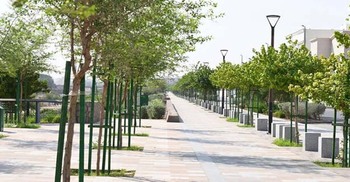 মদিনায় সবুজ নগর গড়তে সৌদি সরকারের নতুন উদ্যোগ