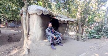 বাড়ি তো নয় পাখির বাসা ভেন্না পাতার ছানি