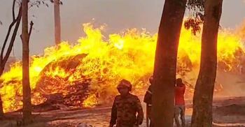মাগুরায় আগুনে পুড়লো ছাই কারখানা