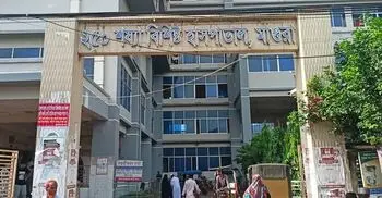 ডোবায় ডুবে ফুপু-ভাতিজার মৃত্যু