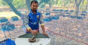 মৌচাষে ভাগ্য বদলের স্বপ্ন দেখছেন মাগুরার যুবক